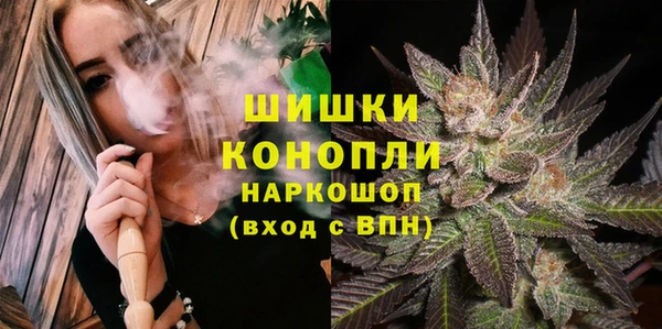 стафф Михайловск