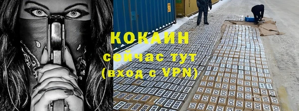 стаф Надым