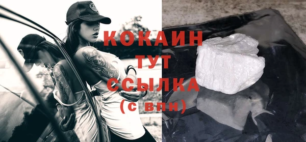 стафф Михайловск