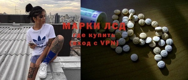 стафф Михайловск