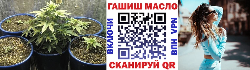 ТГК концентрат  купить  цена  Нестеров 