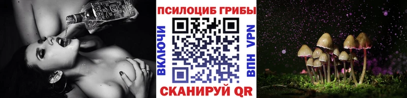 кракен ТОР  Нестеров  Псилоцибиновые грибы MAGIC MUSHROOMS  цена  