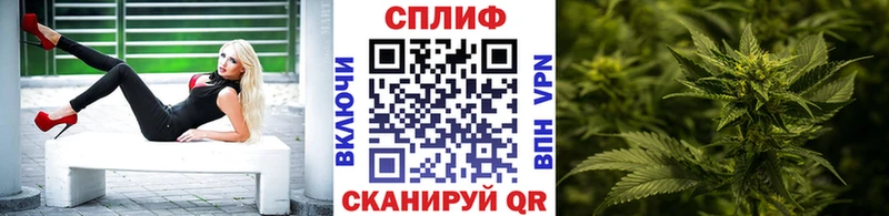 Конопля Bruce Banner  Нестеров 